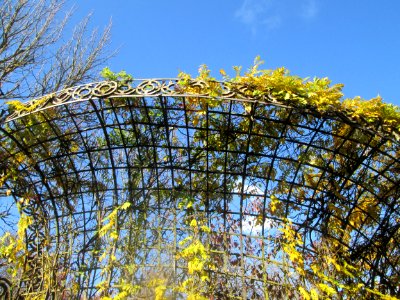20181111Wasserspeiende_Vögel_Schwetzingen1