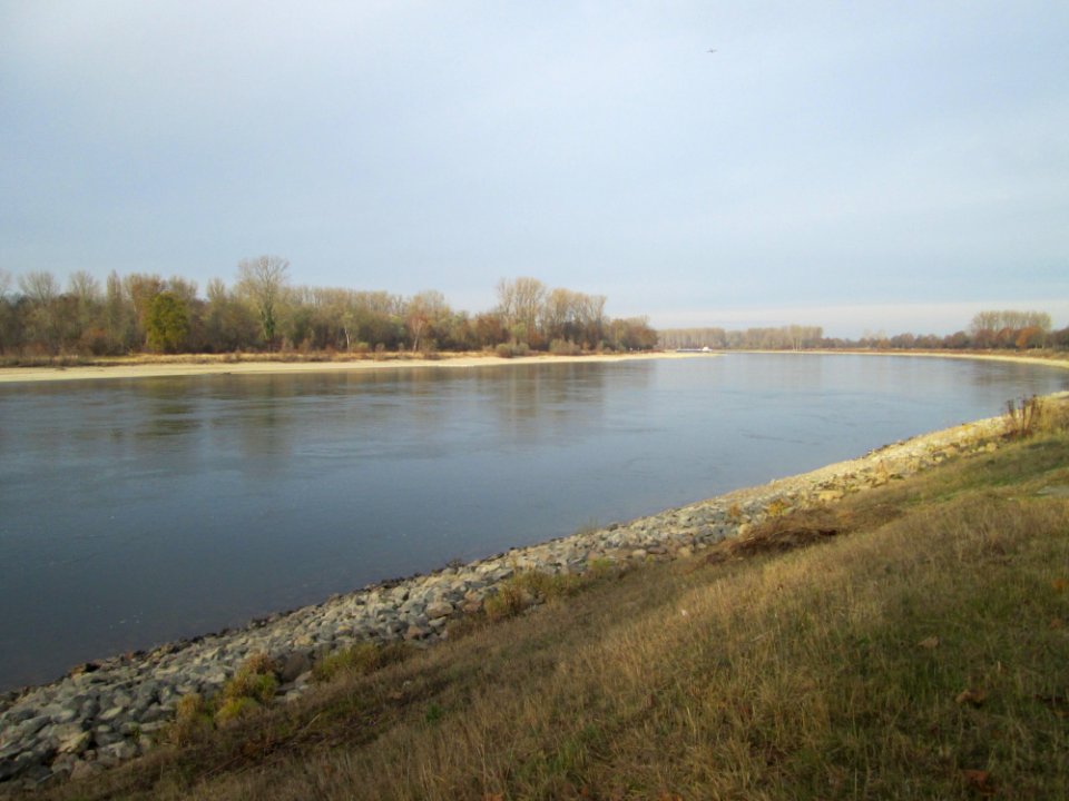 20181125Rhein_Altlussheim1