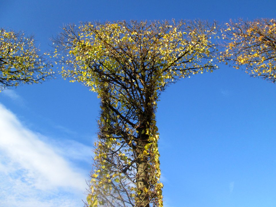 20181102Nördliche_Lindenarkaden2