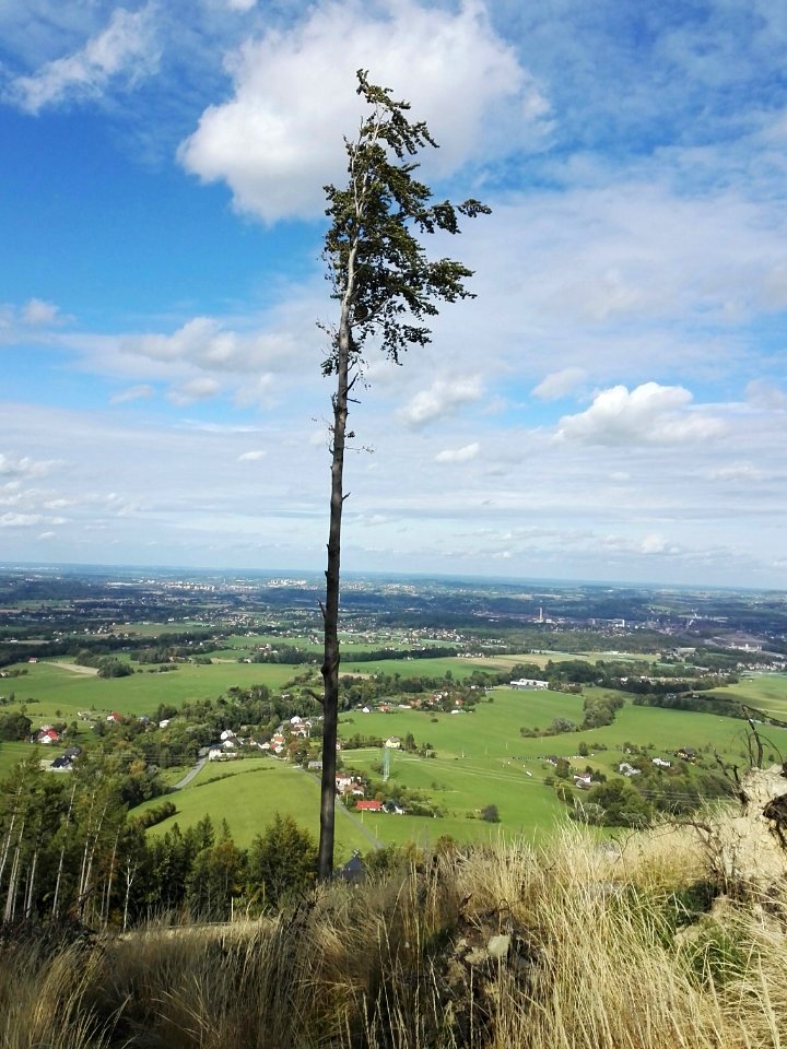 2019_09_Javorový