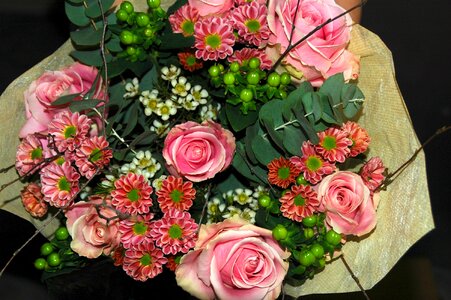 Bouquet roses pink