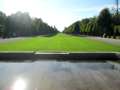 20180920Hirschgruppe_Schwetzingen3