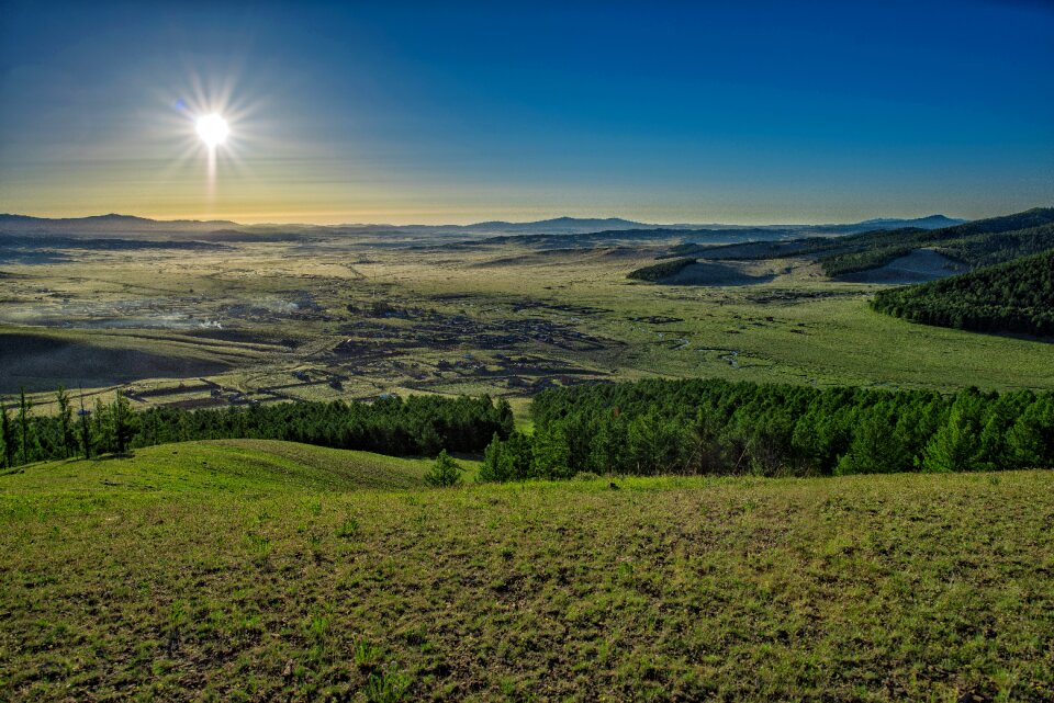 Meadow forest mongolia