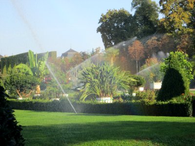 20180920Orangerieparterre_Schwetzingen2