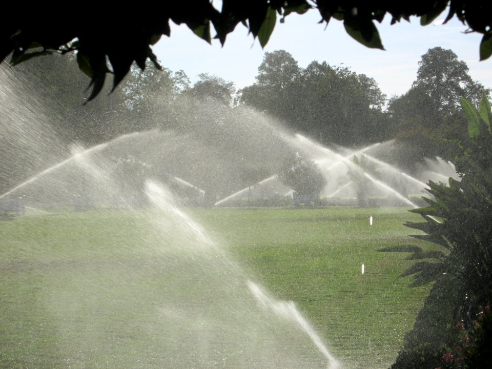 20180920Orangerieparterre_Schwetzingen4
