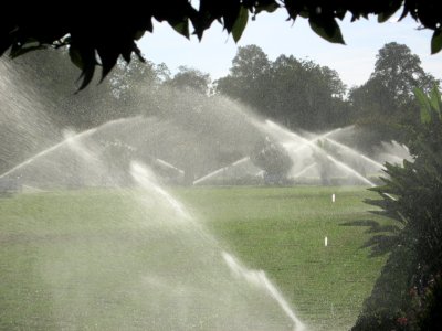 20180920Orangerieparterre_Schwetzingen4