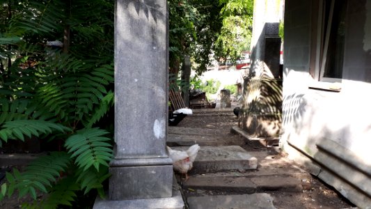 20171004_140917_Old_Jewish_Cemetery_in_Bacău