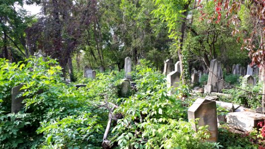 20171004_140228_Old_Jewish_Cemetery_in_Bacău
