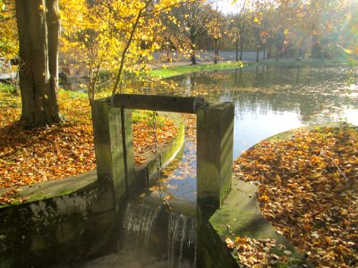20181111Schlossgarten_Schwetzingen4