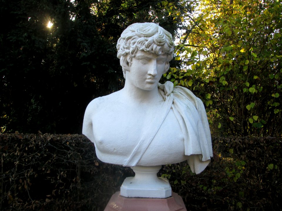 20181111Antonius2