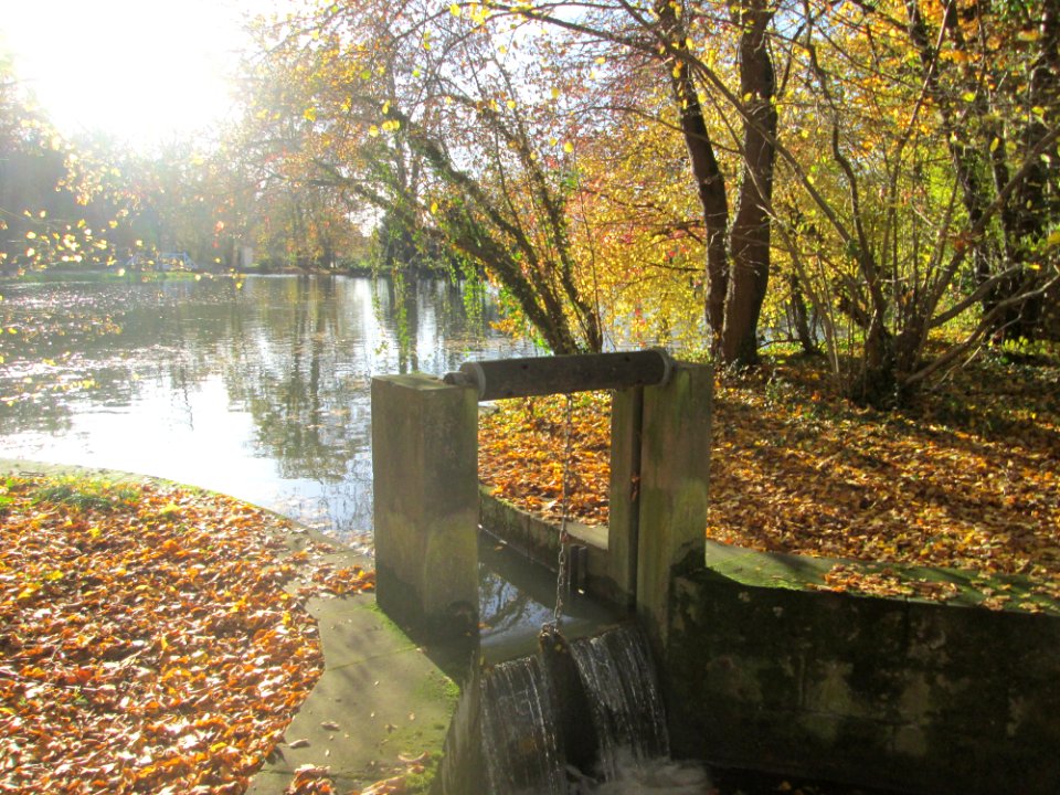 20181111Schlossgarten_Schwetzingen3