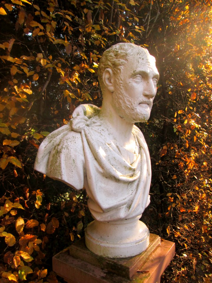 20181111Domitian2