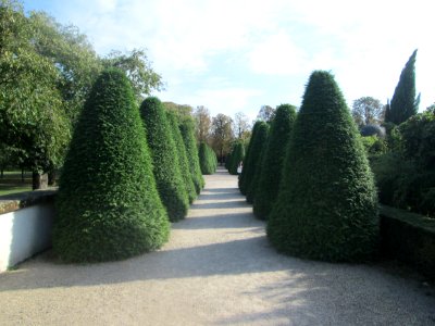 20180918Moscheegarten_Schwetzingen1