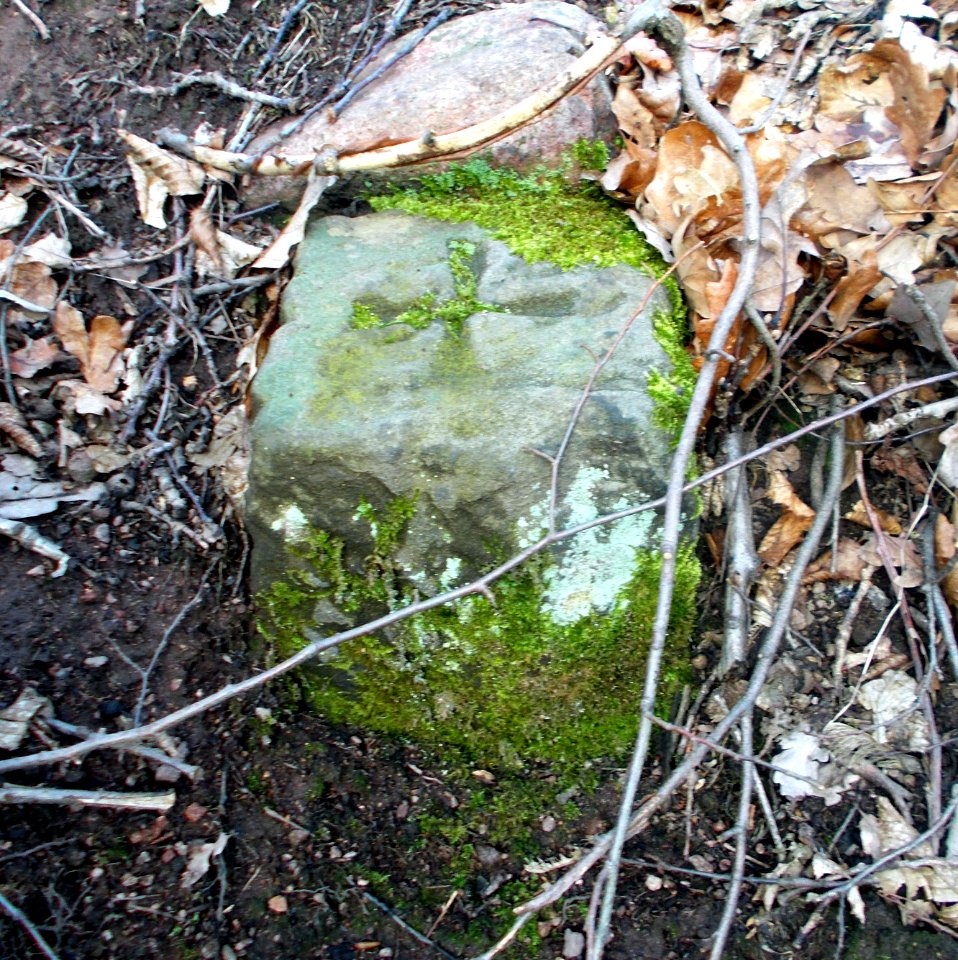 2018_Freital_Weißig_Grenzstein_Deubener_Weg