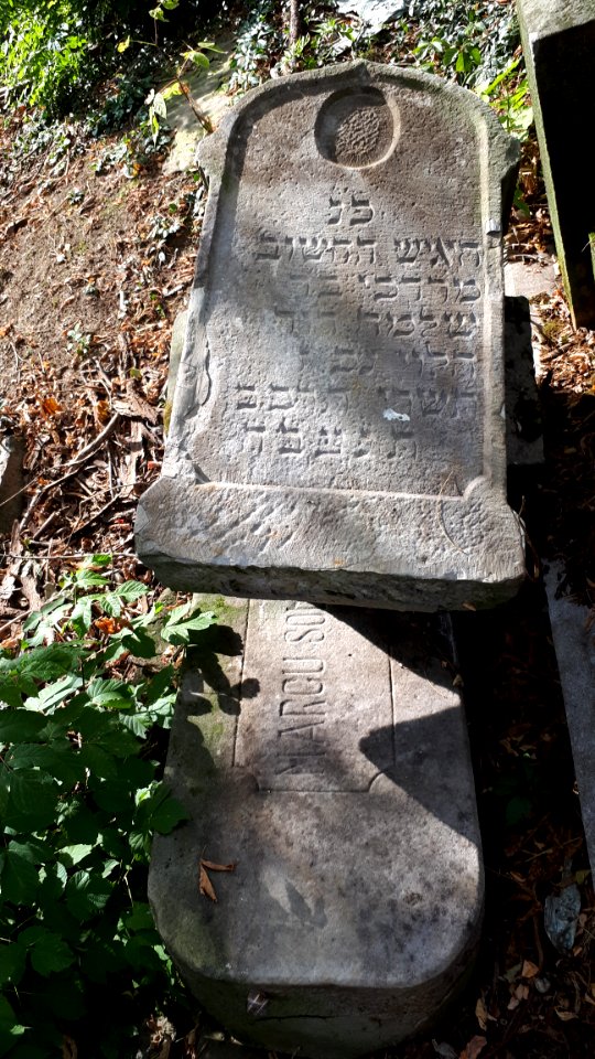 20171004_140437_Old_Jewish_Cemetery_in_Bacău
