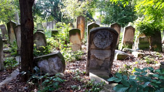 20171004_135914_Old_Jewish_Cemetery_in_Bacău