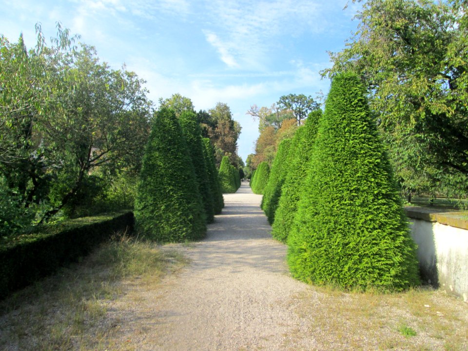 20180918Moscheegarten_Schwetzingen2