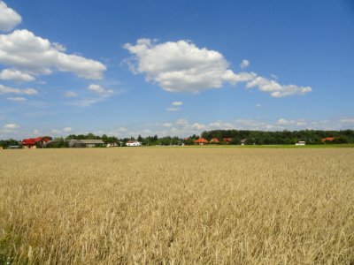 2018_Nowe_Załubice,_Opole_z_daleka