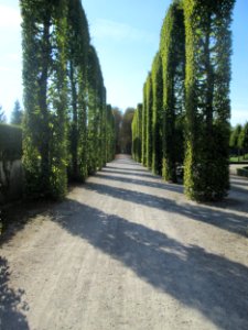 20180920Südliche_Lindenarkaden1