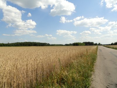 2018_Nowe_Załubice,_6