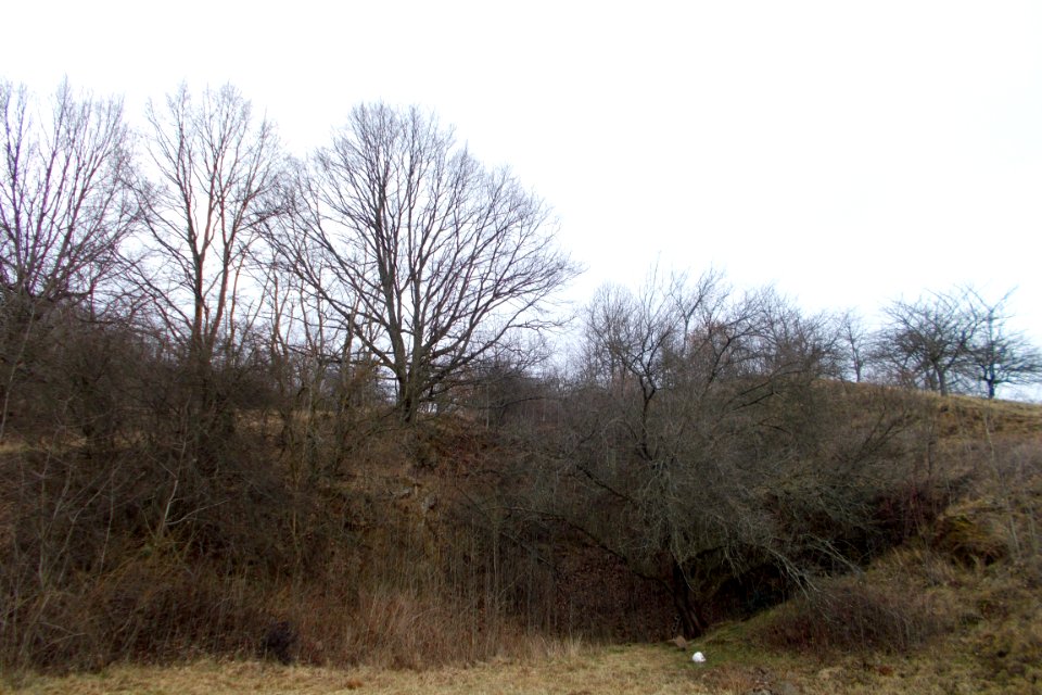 2018_Pesterwitz_alter_Steinbruch