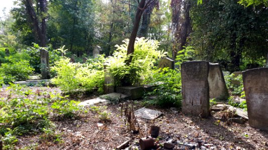 20171004_135705_Old_Jewish_Cemetery_in_Bacău