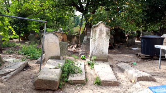 20171004_135509Old_Jewish_Cemetery_in_Bacău