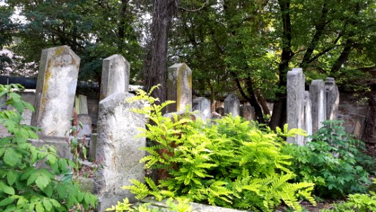 20171004_140628_Old_Jewish_Cemetery_in_Bacău