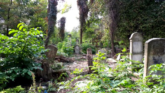 20171004_135737_Old_Jewish_Cemetery_in_Bacău