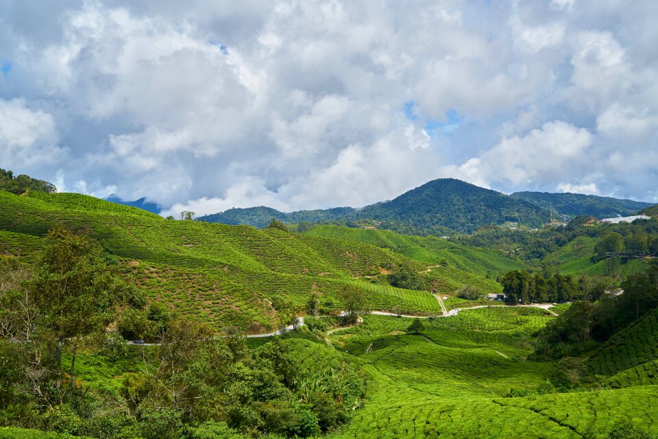 Nature landscape spring