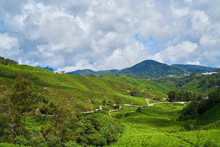 Nature landscape spring