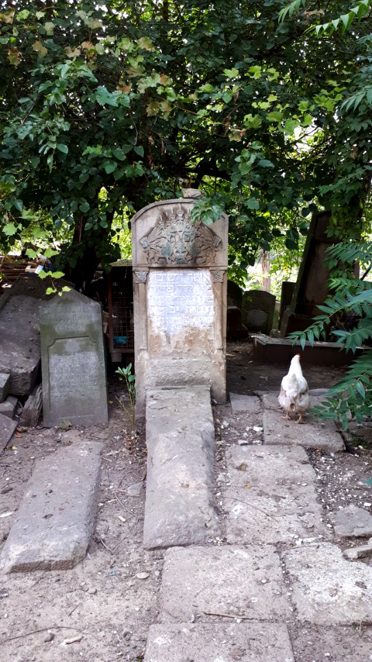 20171004_140937_Old_Jewish_Cemetery_in_Bacău