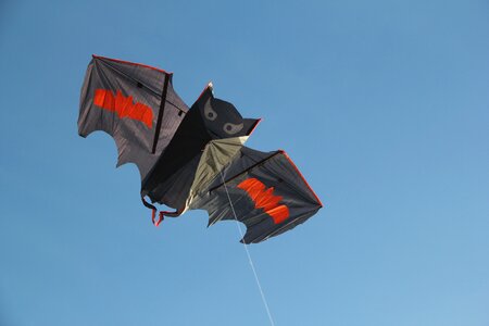 Kite flying play