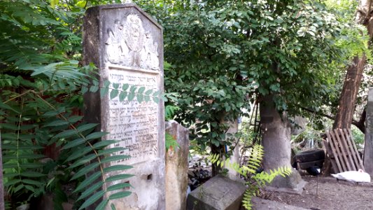 20171004_140932_Old_Jewish_Cemetery_in_Bacău