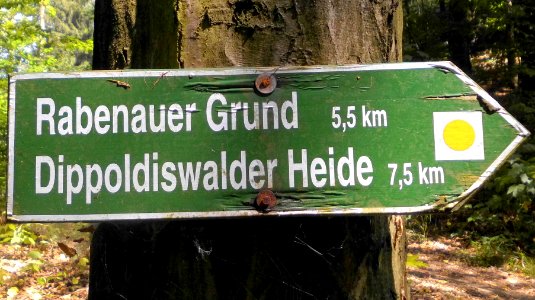 2018_Freital_Poisentalstraße_Wanderweg_gelber_Punkt_Poisenwald