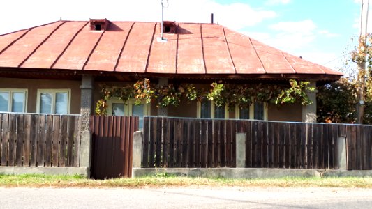 20171004_151221_Tescani,_Bacau_region
