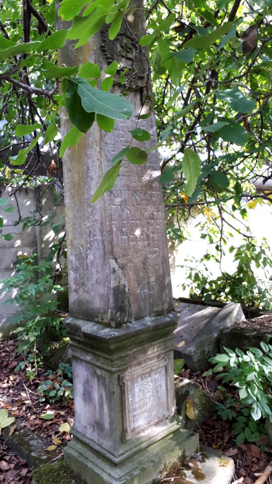 20171004_140105_Old_Jewish_Cemetery_in_Bacău