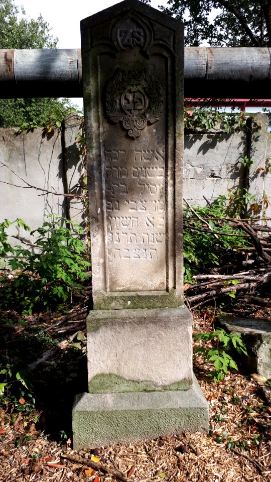 20171004_135940_Old_Jewish_Cemetery_in_Bacău