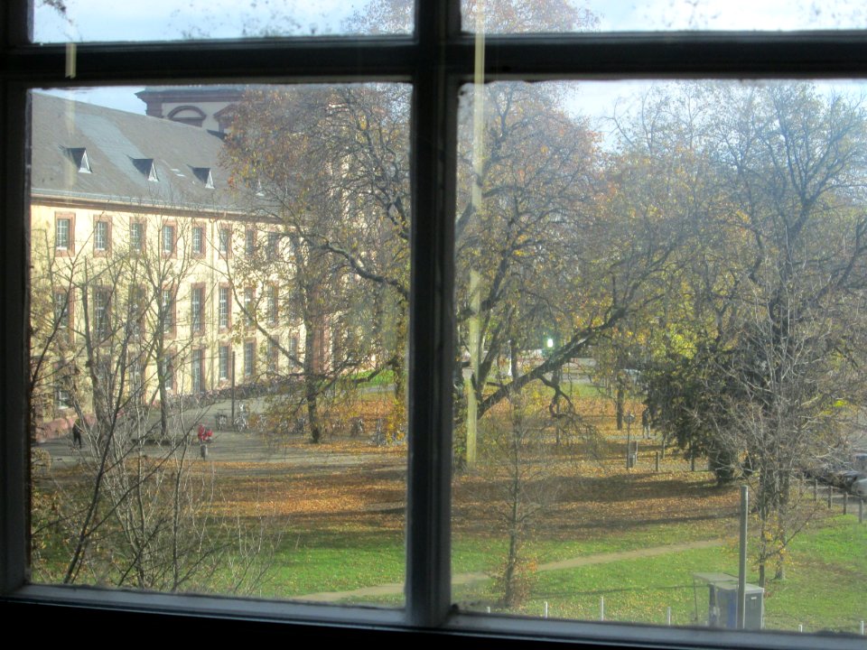 20171119Schlossgarten_Mannheim