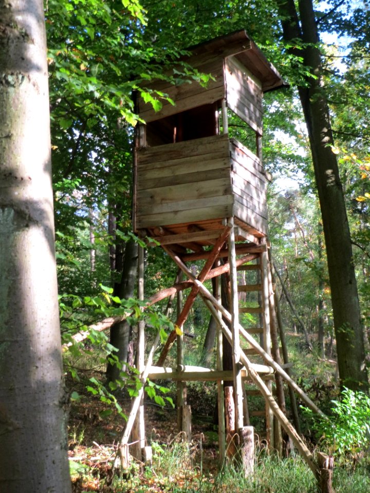20171006Hochsitz_Habsterwiesental
