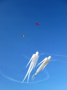 20171122Drachen_Hockenheim08