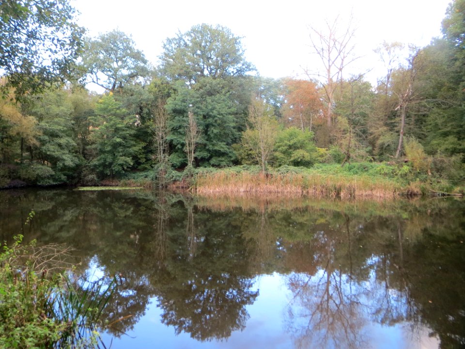 20171006Dienstadter_Weiher1