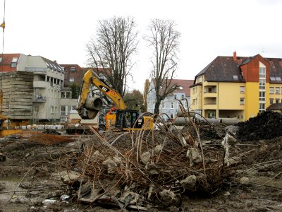 20171113Kraichbachregulierung3