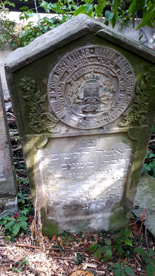 20171004_140058_Old_Jewish_Cemetery_in_Bacău