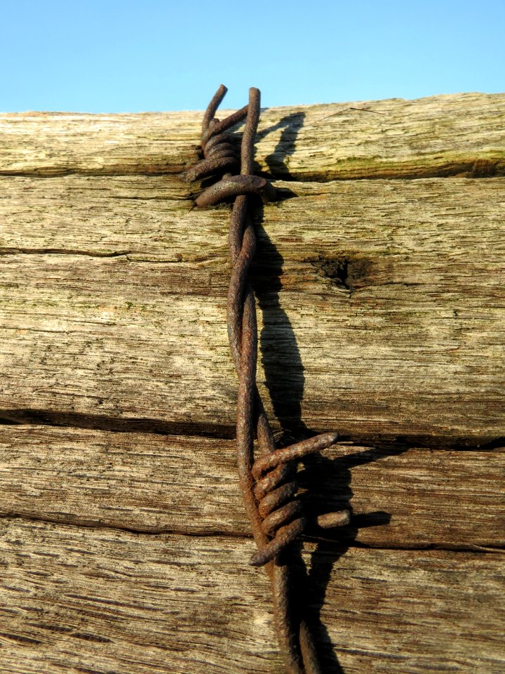 20171016Stacheldraht1
