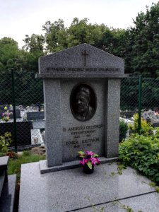 2018_nagrobek_ewangelicki_w_Skoczowie