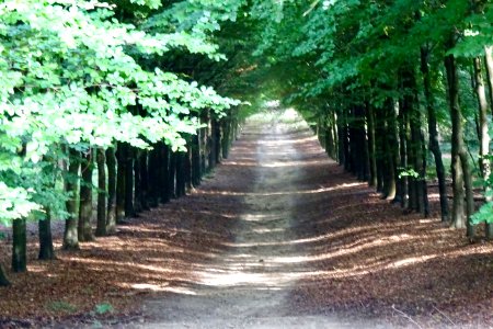 20170904_een_van_de_dertien_wegen_vanaf_de_Carolinaberg_nabij_Dieren