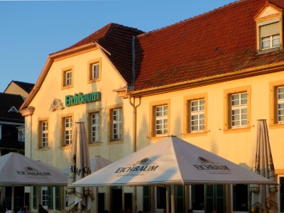 20170903Zum_Gruenen_Baum_Schwetzingen4