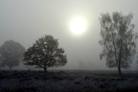 20171107_De_Strubben3