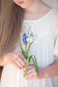 Flowers hyacinth leek flower